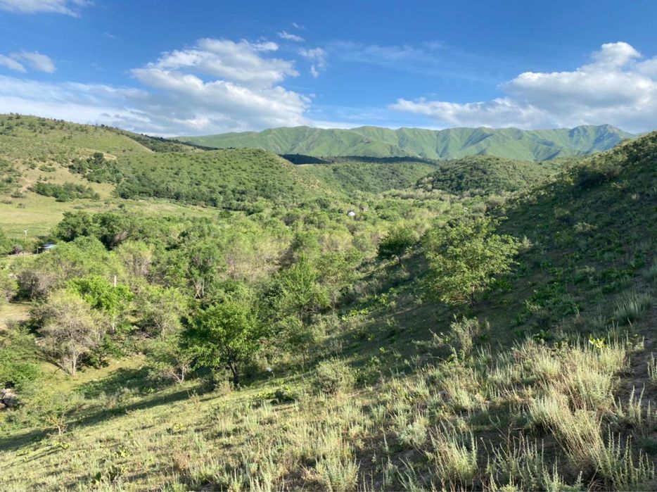 Супер Фазенду продам