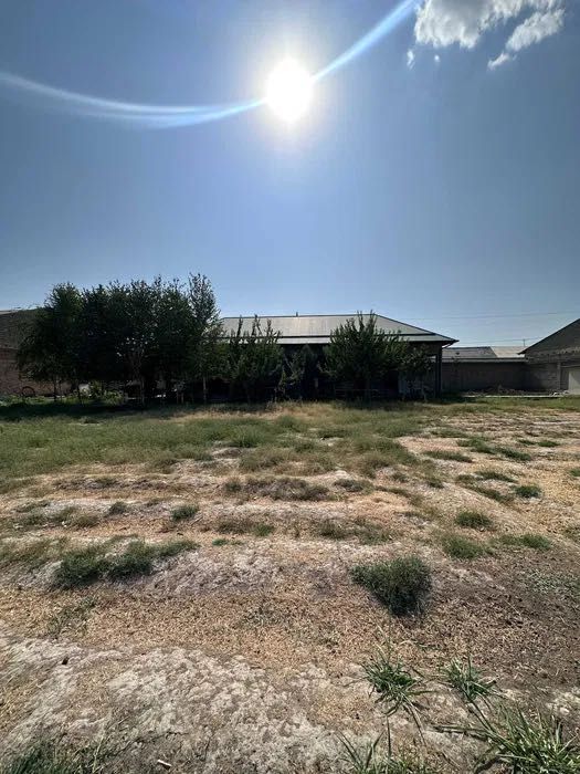 Yer sotiladi Bardankol 20 sotok продадаётся Участок на Барданкуль