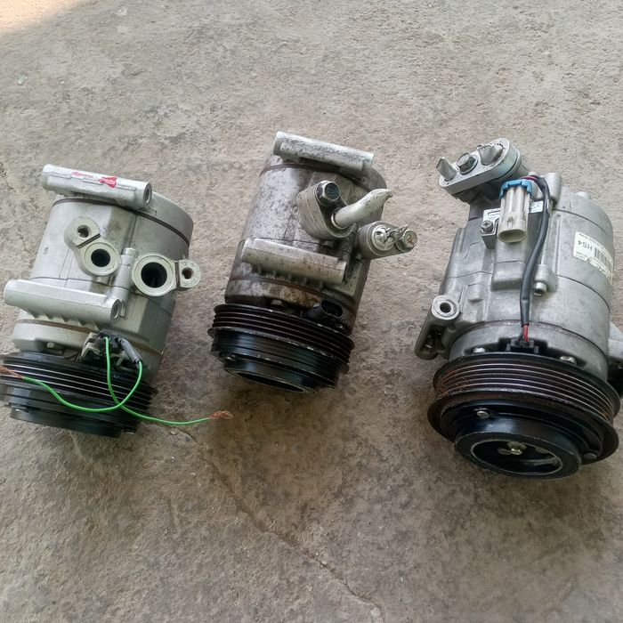 Kandisaner kaptiva maibga kobtga spark jentra neksyaga laseti bor