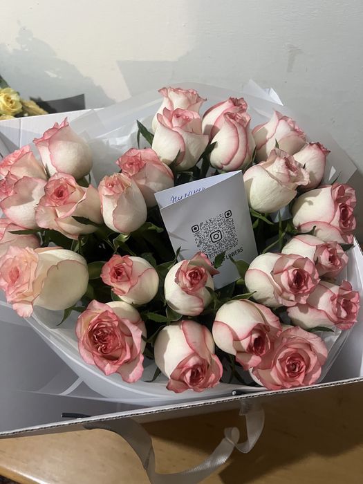 Нежно розовый роза