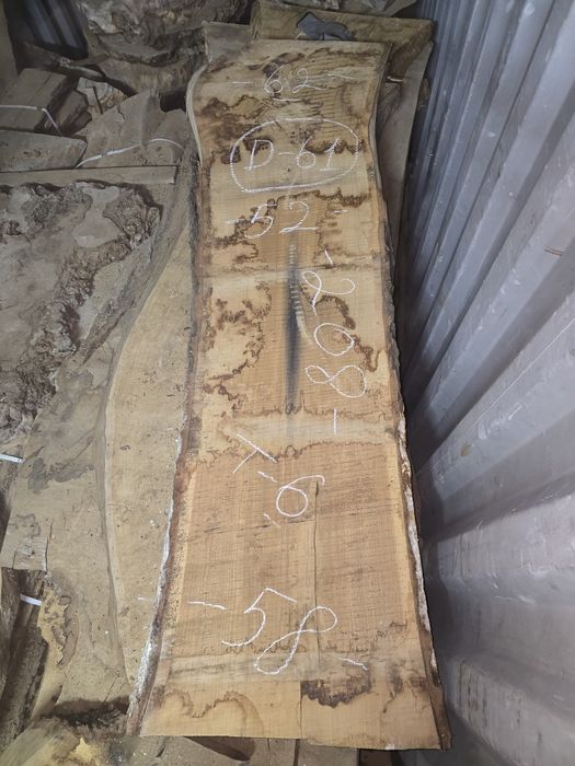 Продам доски дуба .