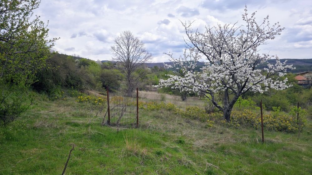 Продава се парцел в село Долна Диканя с гледка към язовира