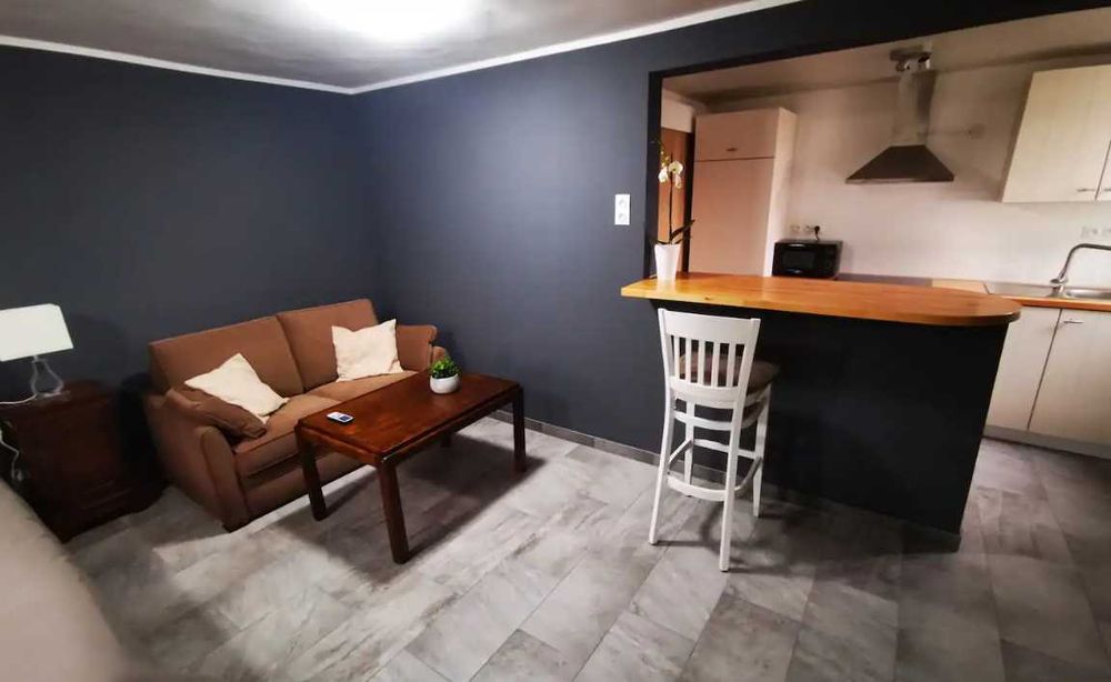 Дава се под наем Едностаен апартамент в Пловдив, Тракия - 45 кв.м за 239.7 € - Снимка #2