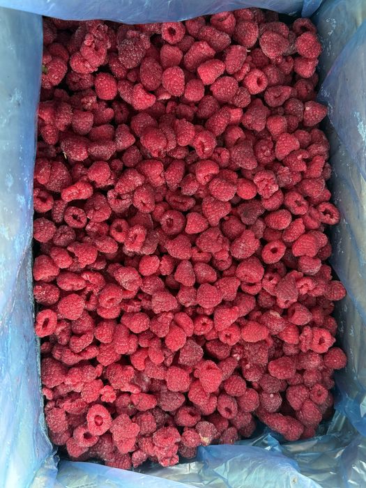 замороженная клюква