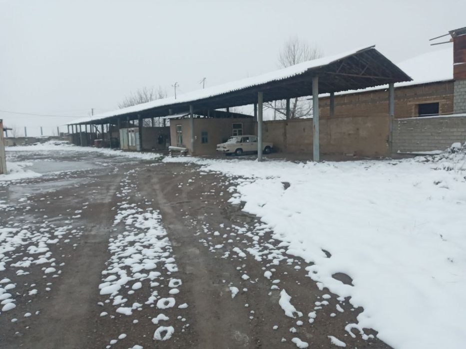 Кучмас мулк сотилади