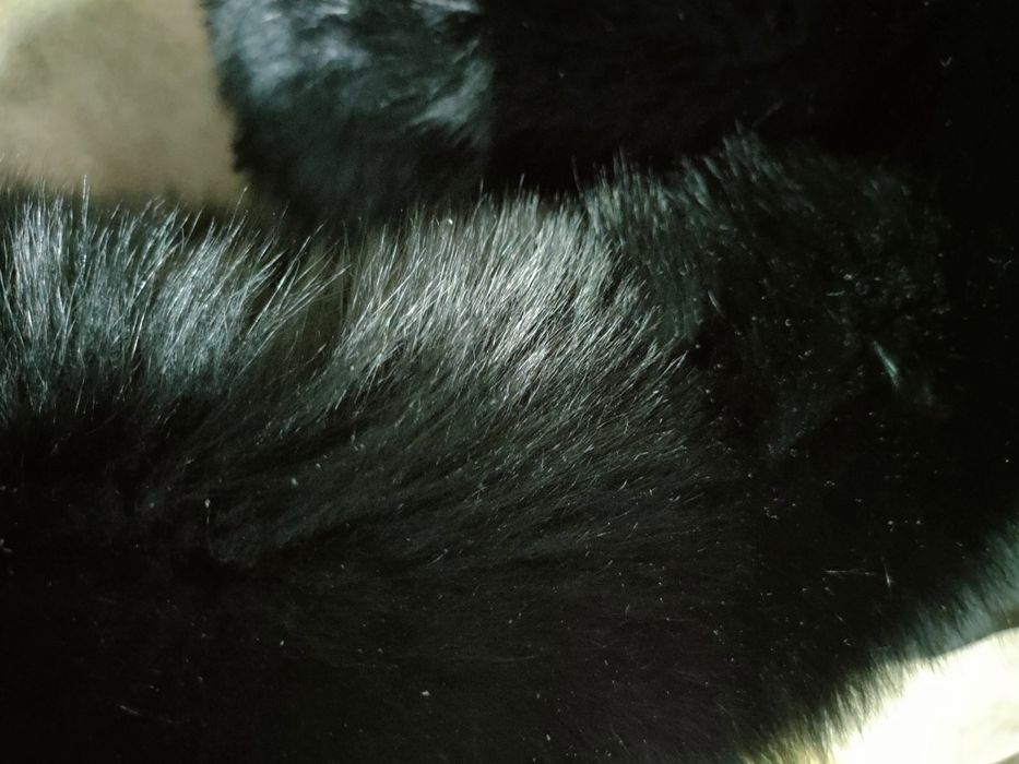 Продам женский пуховик