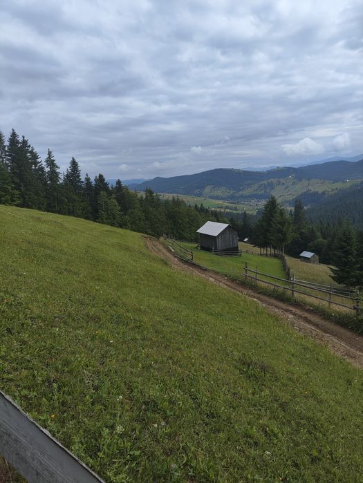 Teren de vanzare 1 ha – Perivata, Argel, com. Moldovița, Suceava