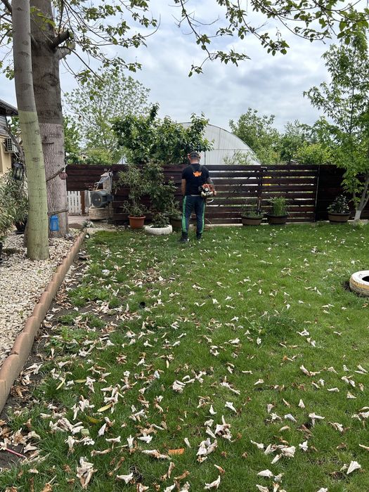 Grădinar-Intretinere si amenajari curti si gradini