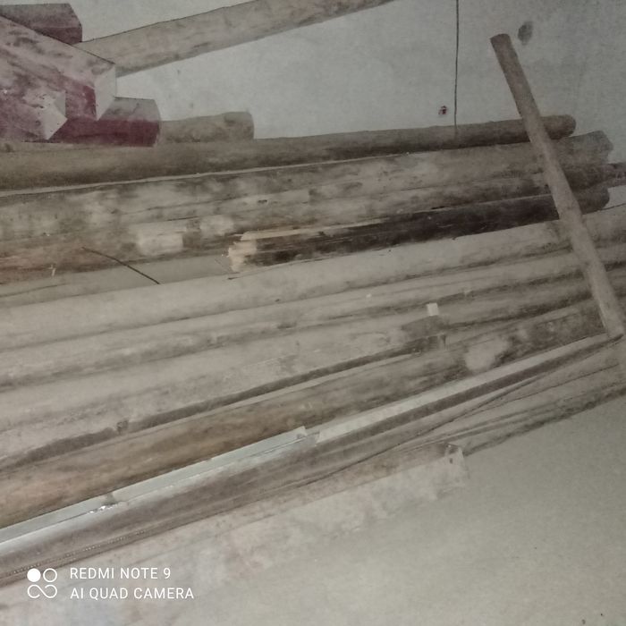 Болол сотилади келишилган холда (чинор дарах)т