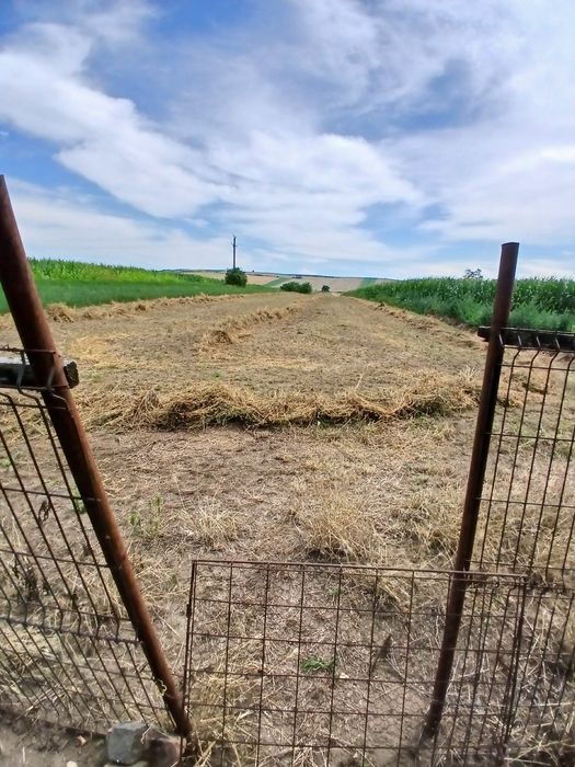 Casă de vânzare cu teren aferent