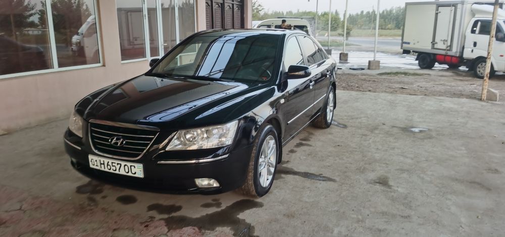 Sonata NF Рейстлин