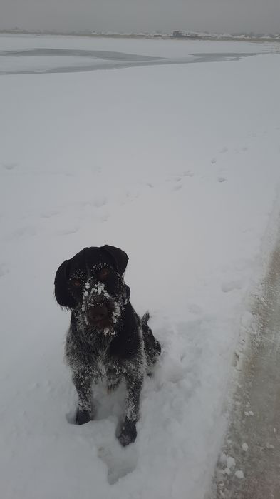 Ищем невесту для парня.