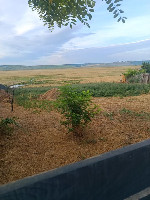 Vând loc de casă!