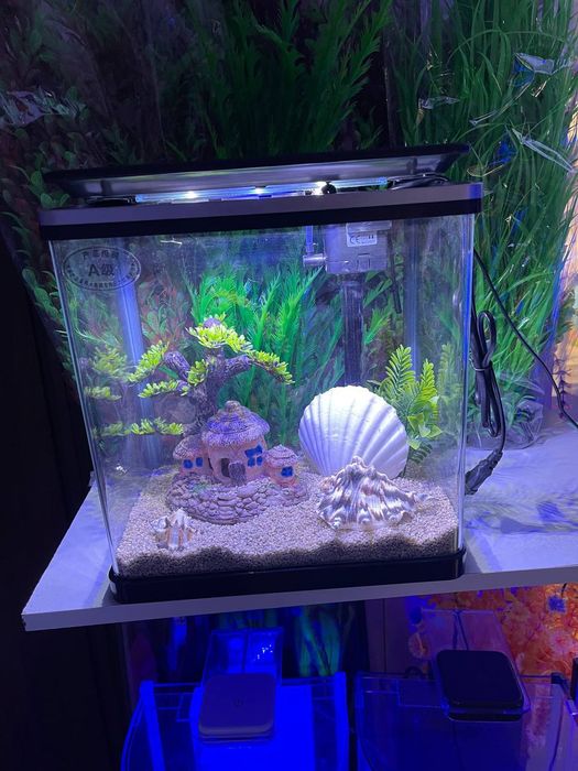 Akvarium Dokoni Sergili va mirobod