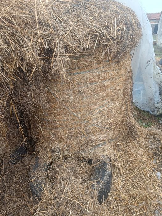 Baloți fan de ovăz