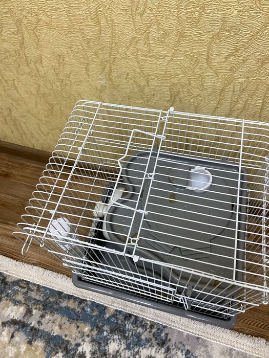 Клетка для хомяка!