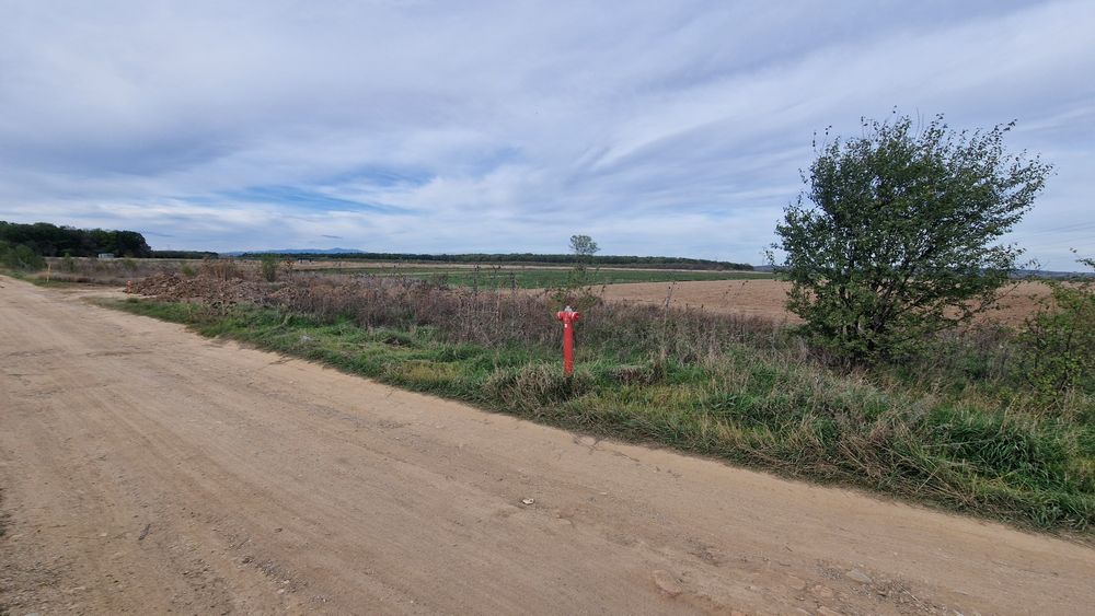 Teren de vânzare Priseaca 6796mp