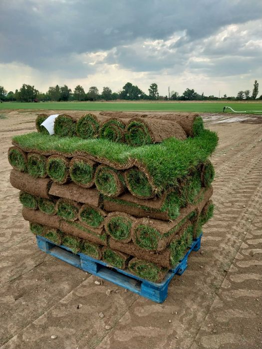 Тревен чим като килим от производител