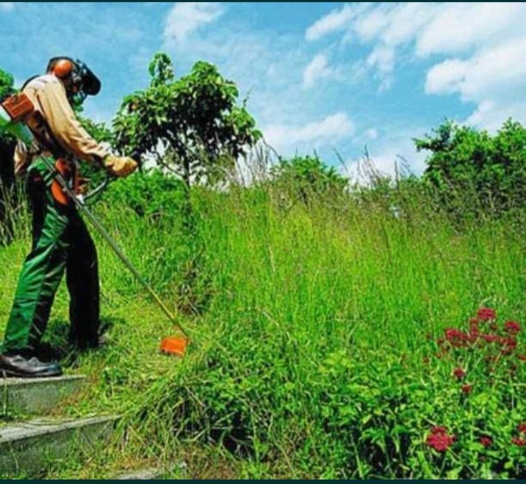 Косене на треви в дворове и тревни площи