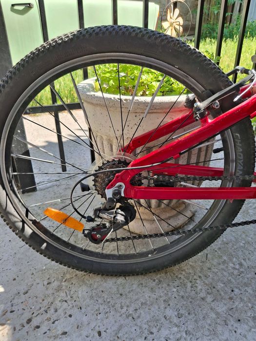 Bicicleta Pegas.