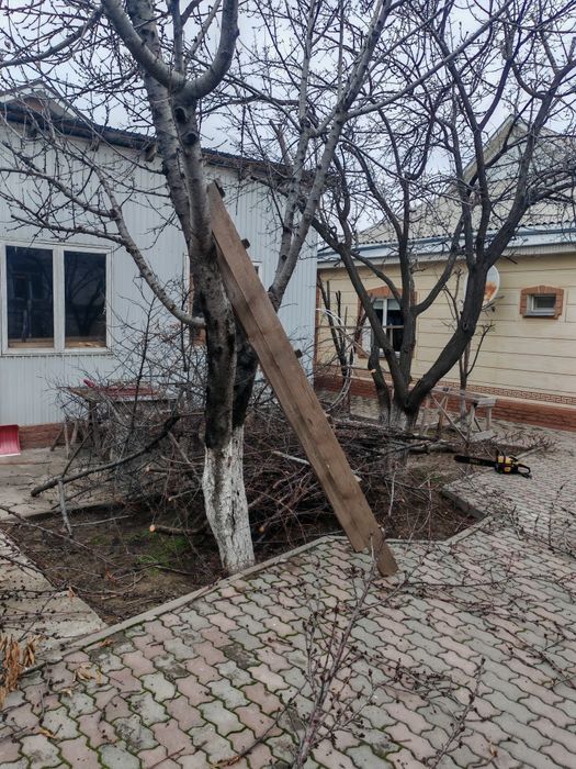 Отын бар, драва есть