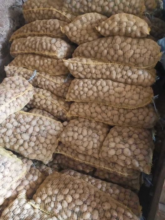 Продавам картофи