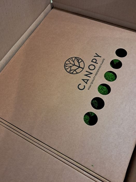 Мини топчест мъх