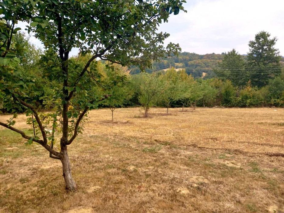 Продава се Парцел в с. Рибарица, Област София-област - 1015 кв.м за 18 €/кв.м - Снимка #4