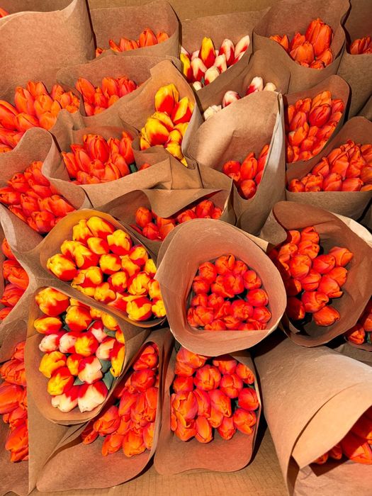 Тюльпаны в розницу