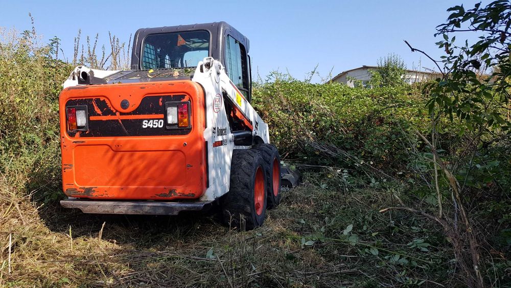 Defrisare cosire si curatare teren de iarba arbusti ambrozie copaci