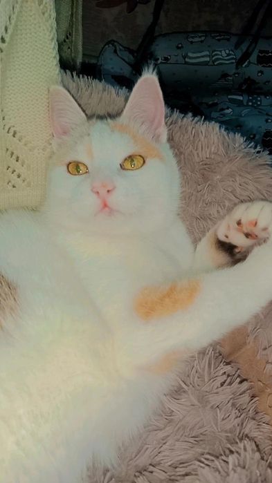 Снежана ждёт семью