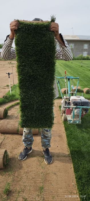 Газоны рулонные, поливная система, ландшафтный дизайн