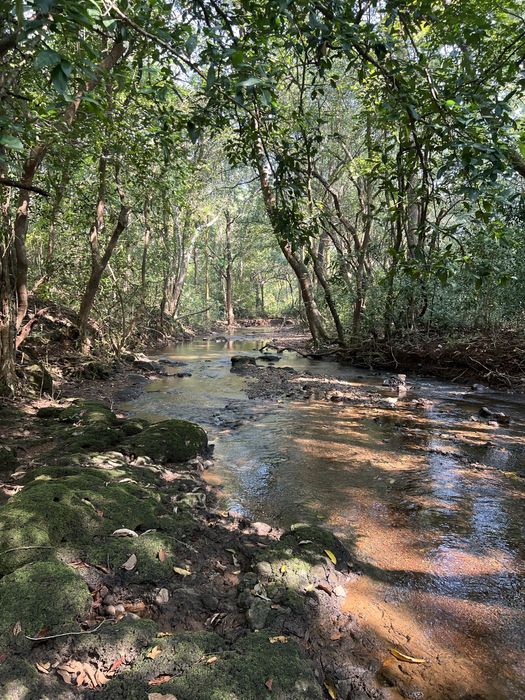 Реставрация Ванн в Таразе