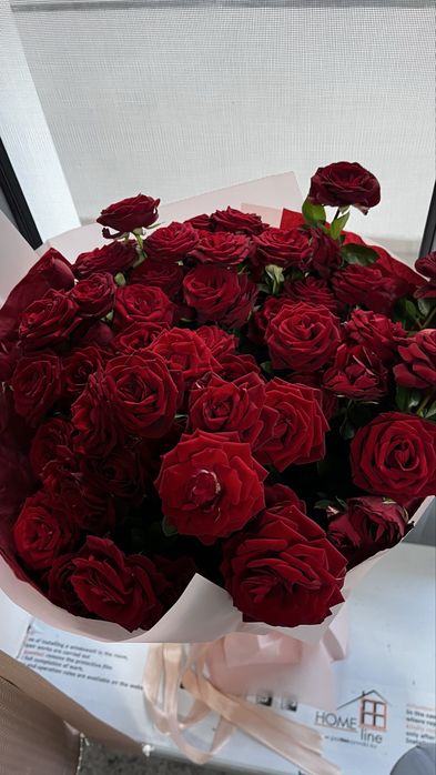 Красные розы свежие