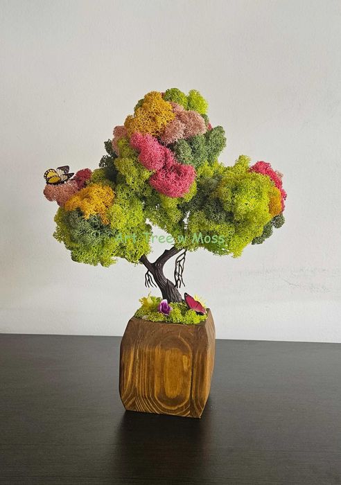 Дърво Бонзай със Скандинавски мъх в керамична и дървена кашпа