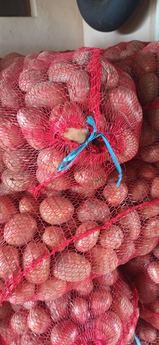 Cartofi pentru consum