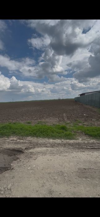 Vand teren intravilan Belciugatele com Cojesti