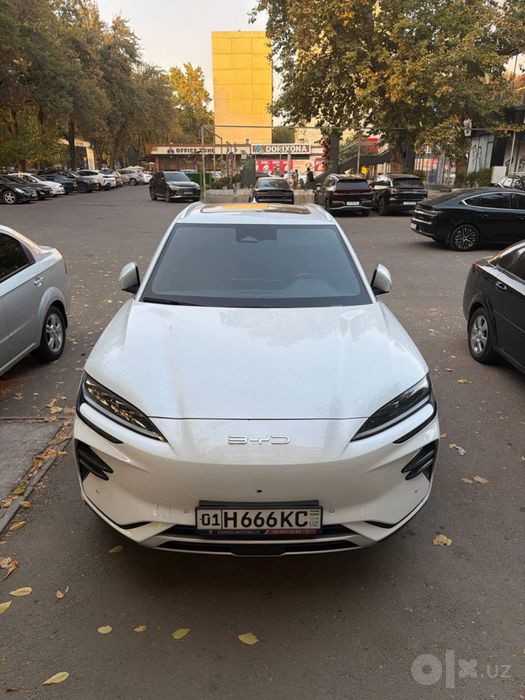 BYD чемпион 2023 йил