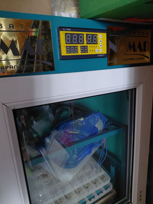 Инкубатор для яиц