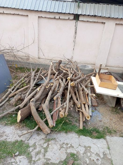 Утин сотаман,  срочно.