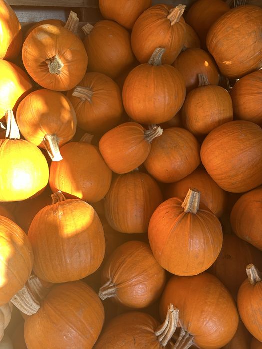 Dovleci de Halloween - Livrare la domiciliu