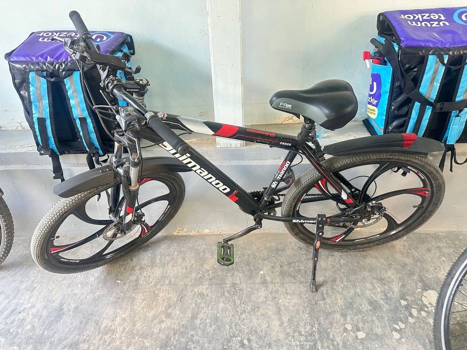 Velosipedholatizo'rvelik