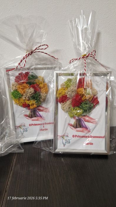 Tablou licheni-martisor