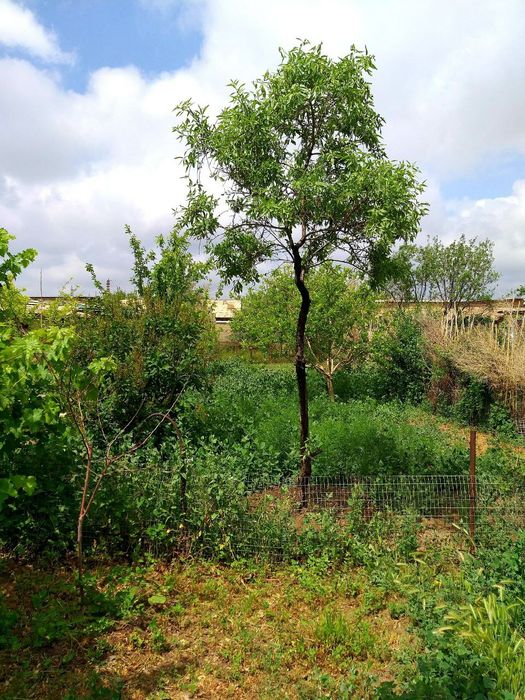 Продаётся коттедж в г. Навои аэропорт.