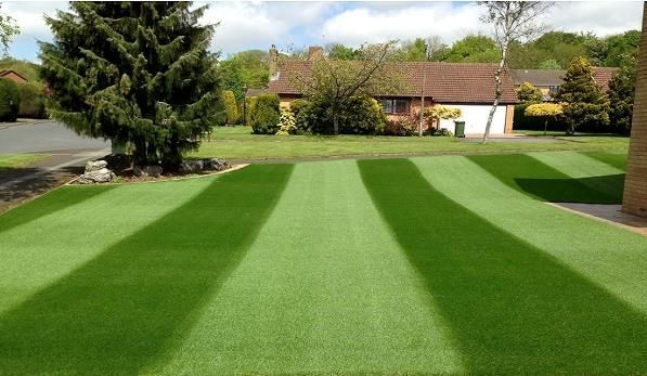 Газон. Семена Спорт.