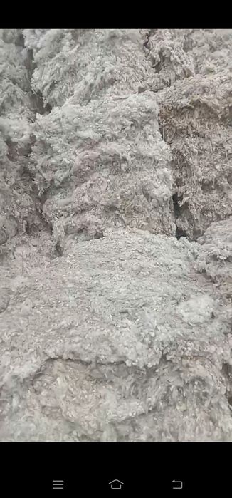 улук ПАХТА сотилади