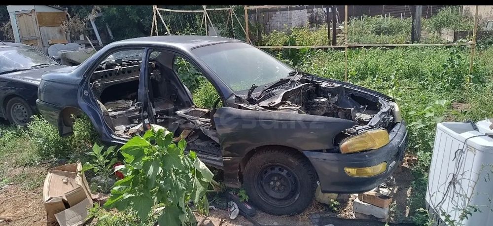 Запчасти Тойота Карина (улыбка)