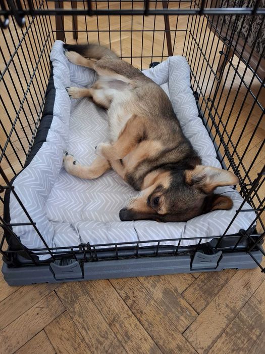 Клетка/крейт за куче Ferplast Superior - 77 / 51 / 55 см.