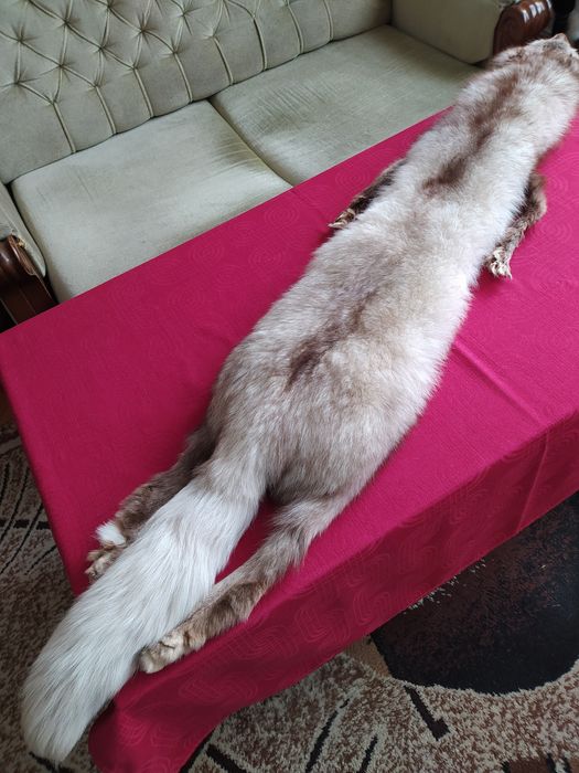 Яка от цяла сребърна лисица