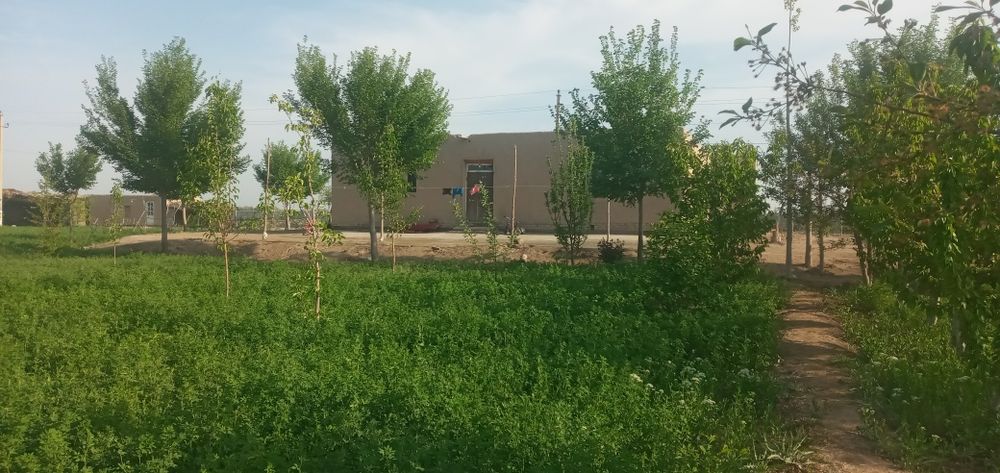 Uy sotiladi narxi kelishiladi !!!